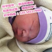 广州董先生夫妻不孕不育，终得贵子