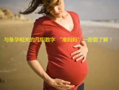 与备孕相关的几组数字 “准广州代妈”一定要了解！