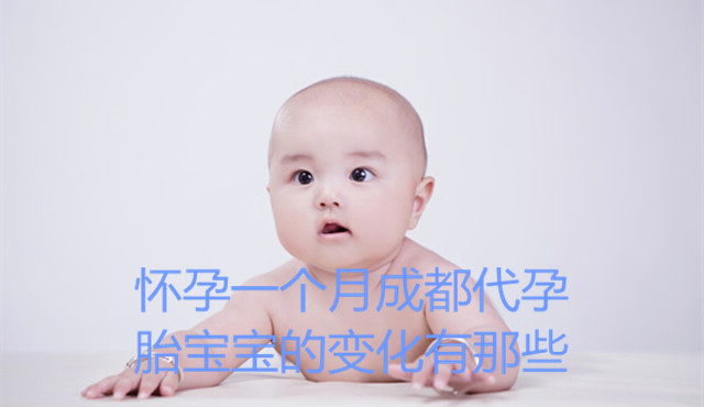 怀孕一个月广州代妈胎宝宝的变化有那些