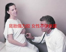 胚胎强力胶 广州代妈不孕救星