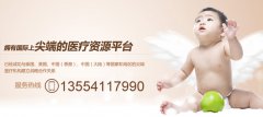 从移植到怀孕，胚胎经历了什么