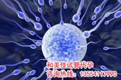 为什么囊胚活检部分胚胎染色体异常